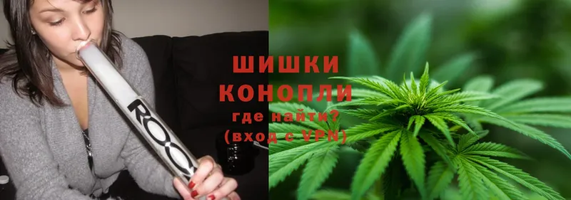 Марихуана THC 21%  Бийск 